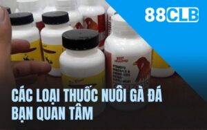 Các loại thuốc nuôi gà đá bạn quan tâm