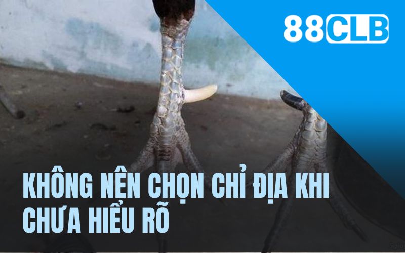 Không nên chọn chỉ địa khi chưa hiểu rõ