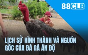 Lịch sử hình thành và nguồn gốc của đá gà Ấn Độ