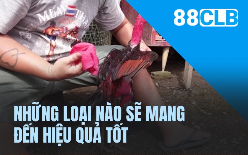 Những loại nào sẽ mang đến hiệu quả tốt