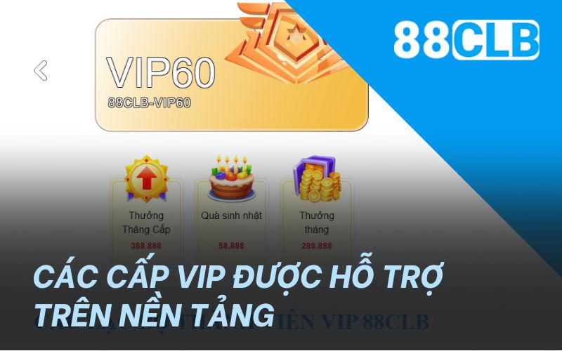 Các cấp VIP được hỗ trợ trên nền tảng