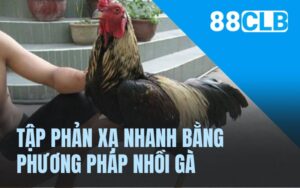 Tập phản xạ nhanh bằng phương pháp nhồi gà