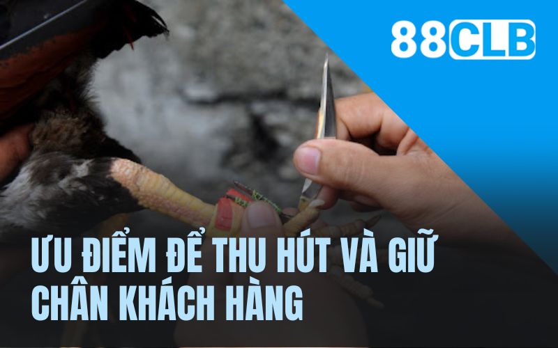 Ưu điểm để thu hút và giữ chân khách hàng